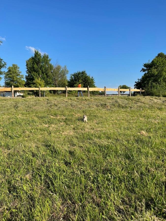 Naturnahes, Neu Moebl.Apartment, Hundefreundlich Neu Gaarz Екстериор снимка