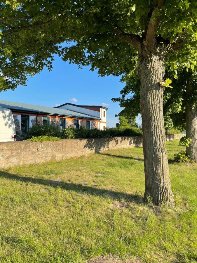 Naturnahes, Neu Moebl.Apartment, Hundefreundlich Neu Gaarz Екстериор снимка